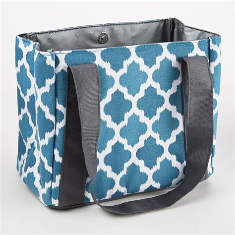 stylish insulated lunch bags